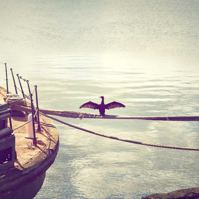 Malmö Couchtisch Walnuss - Bild 2