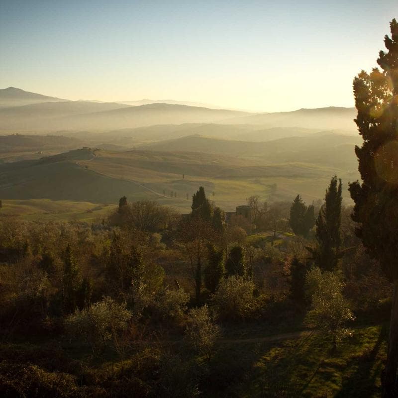 Aarhus Nachttisch Walnuss