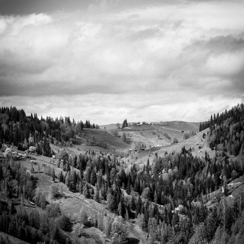 Göteborg Gartentisch Akazie