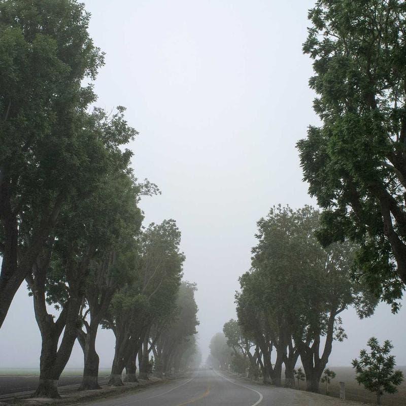 Lund Wandspiegel Mango - Bild 2