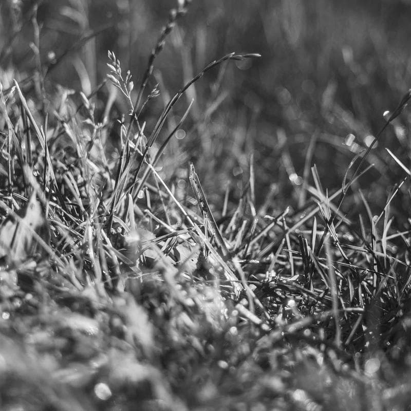 Stavanger Kommode Eiche - Bild 2